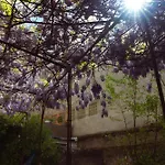 Bastide * Καρκασόν