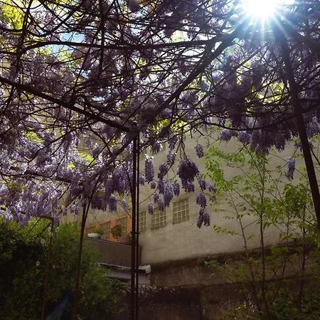 Bastide * Каркассон