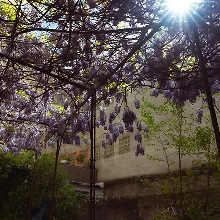 Bastide * Carcasona