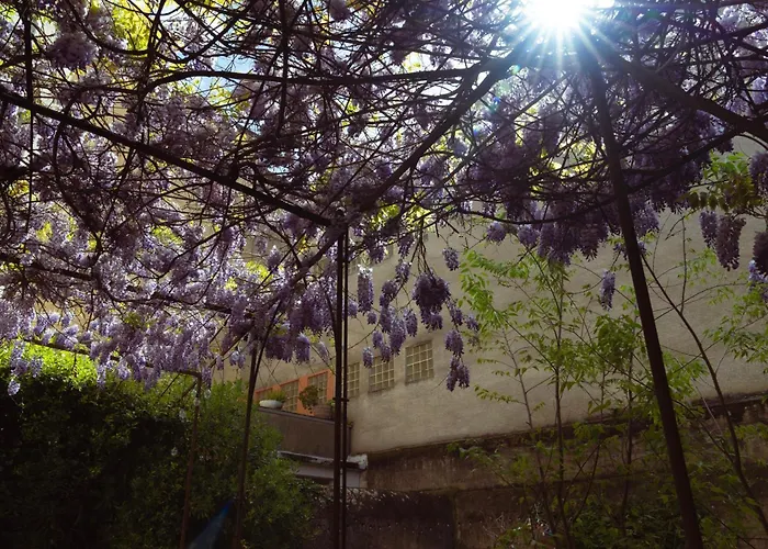 Bastide * Carcassonne